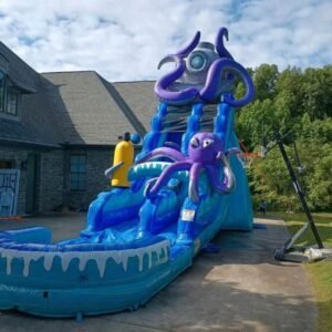 Ocean Octopus Slide